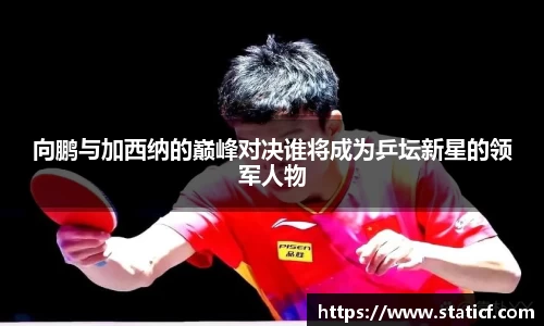 易游体育app